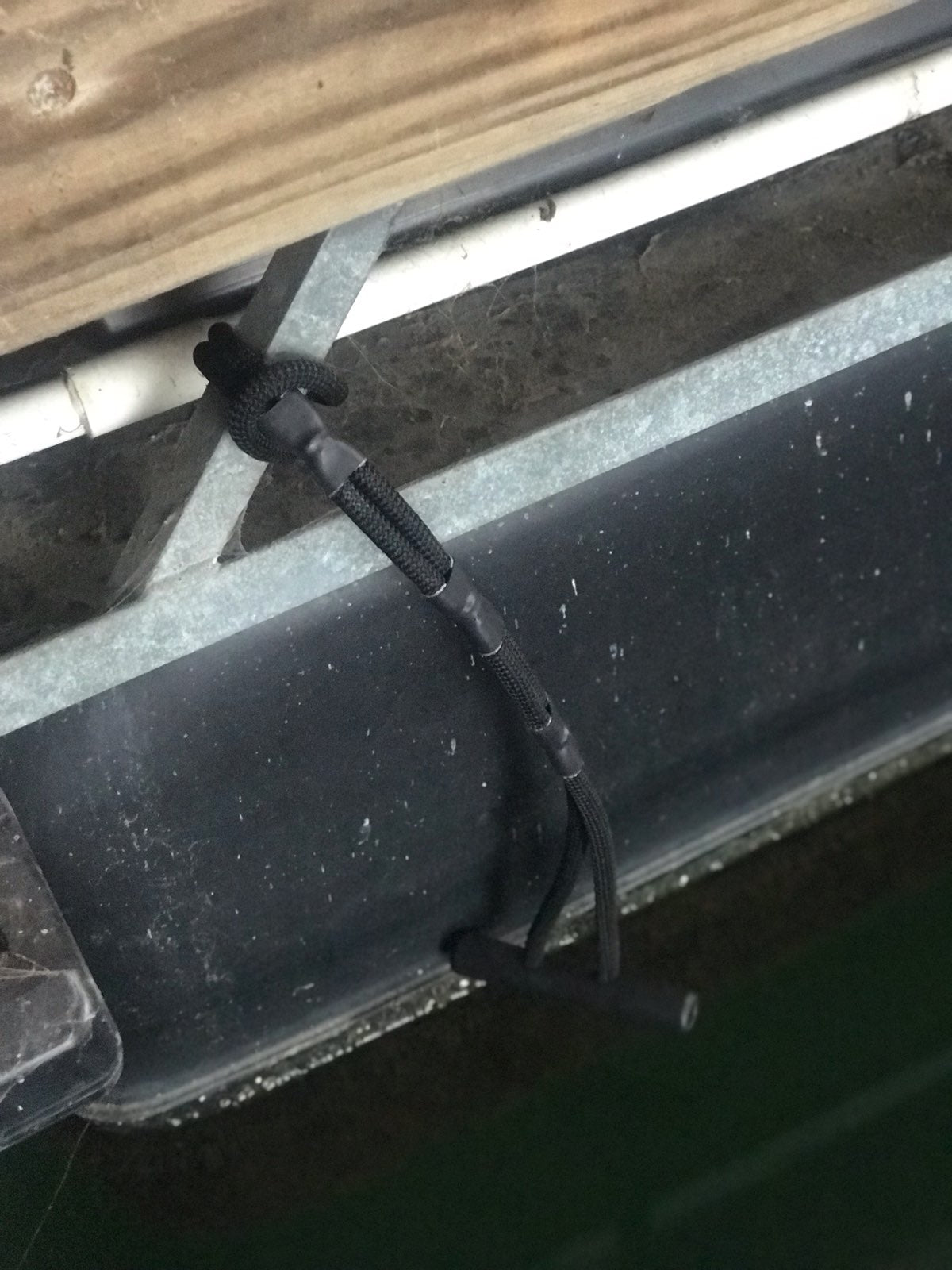Dock Bungees